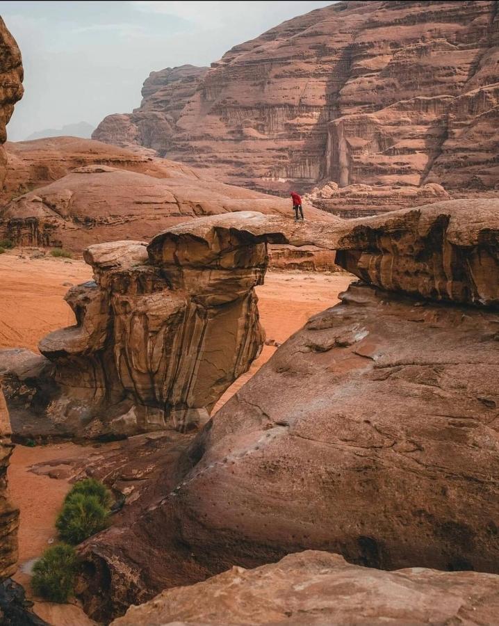 Rehana Rum Camp Wadi Rum Bagian luar foto